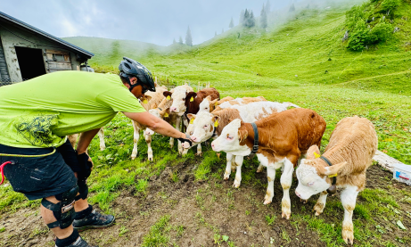 Ouverture de la saison de cimgo 2025