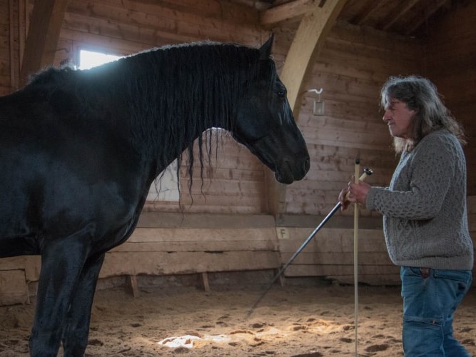 Équitation au manège | Château-d'Œx