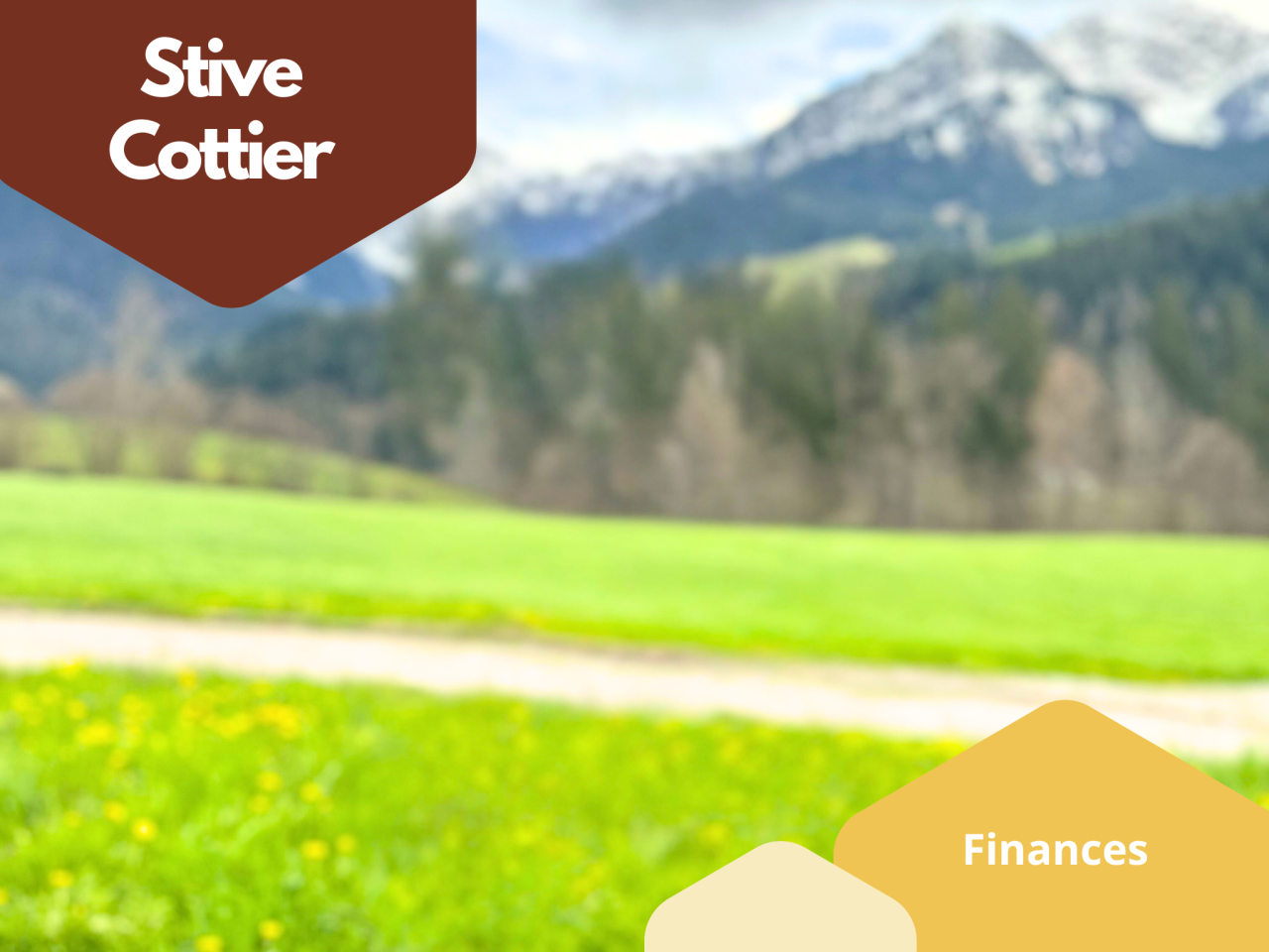 Stive Cottier - Finances